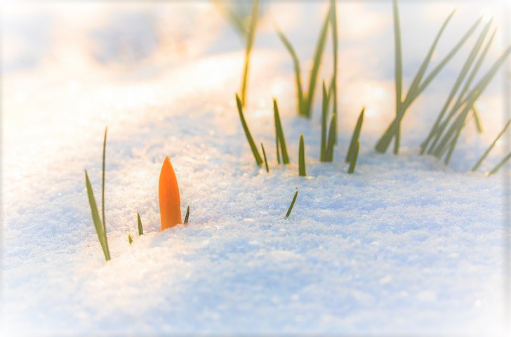 FEBRUAR